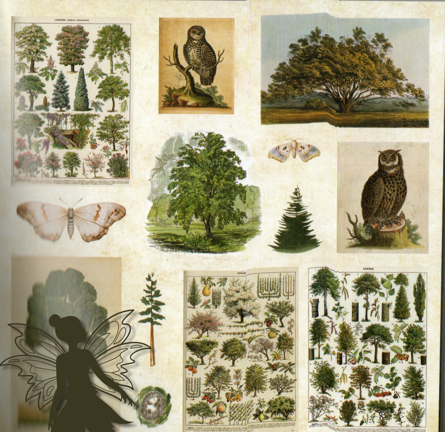 Enchanted Forest Sticker Book – 800+ Woodland & Fairy Stickers