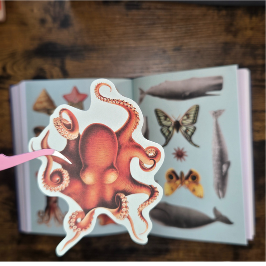 The Antiquarian Sticker Book – 1,000+ Vintage-Style Stickers