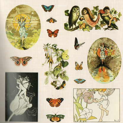 Peter Pauper Press Faerie Kingdom Ephemeral Sticker Book - Over 750 Faerie-Themed Stickers for Enthusiasts & Collectors Ideal for Journal Decorators & Planner Enthusiasts