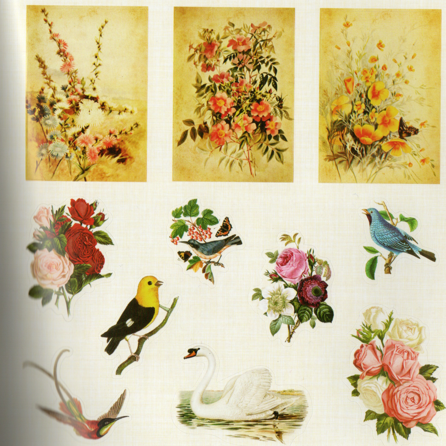 Peter Pauper Press Faerie Kingdom Ephemeral Sticker Book - Over 750 Faerie-Themed Stickers for Enthusiasts & Collectors Ideal for Journal Decorators & Planner Enthusiasts