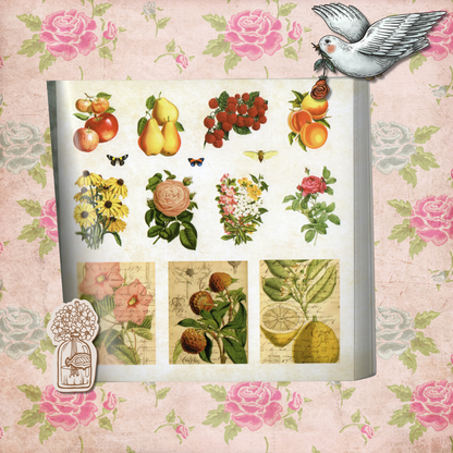 Peter Pauper Press Sticker Book of Curiosities - An Eclectic Collection of Vintage Stickers with Over 750 Stickers for Collectors and Enthusiasts