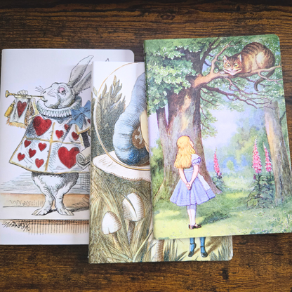 (Set of 3) Foiled Midi Notebook – Soft Cover Journal with Blank & Lined Pages (64 Pages)