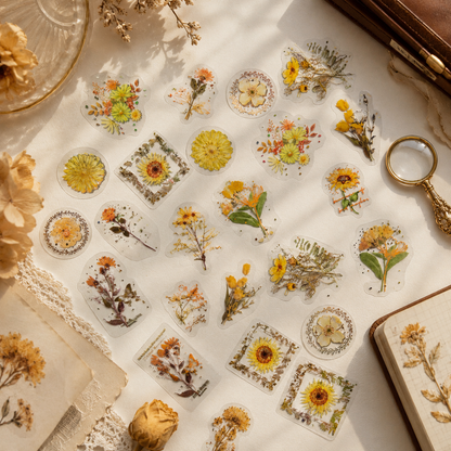 Golden Wildflower PET Stickers | Vintage Botanical Journal Stickers | 30-Piece Transparent Sticker Pack