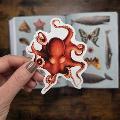 The Antiquarian Sticker Book – 1,000+ Vintage-Style Stickers